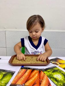 Diferentes texturas com as sementes